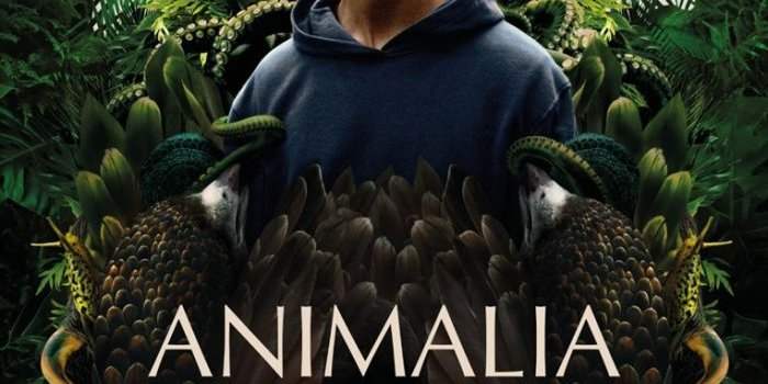 Le règne animal VO au Métropole 