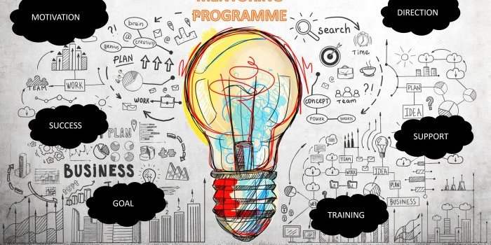 C'est quoi un Mentoring Programme ?