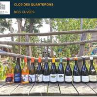 Degustation de vin bio