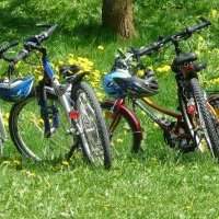 Randonnée vélo vers le Landschaftpark de Duisbourg
