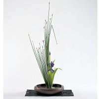 Ikebana avec Carole (initiées et débutantes)