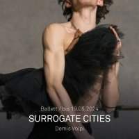 Surrogate city