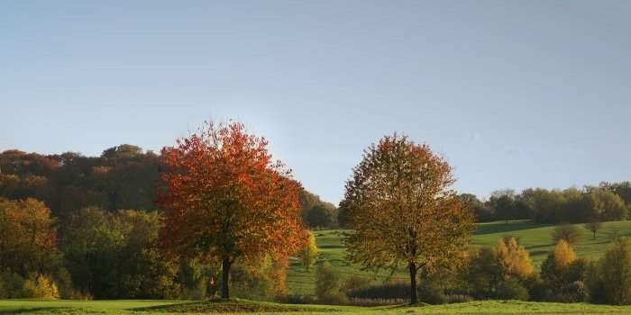 Marche avec Anne