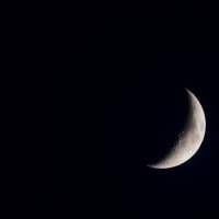 Sorties photo : Eclipse de lune
