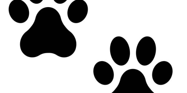 Déclarer un animal