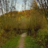 Sorties photo : Un lieu 4 saisons - Rothaüserbachtal l'automne