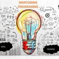 C'est quoi un Mentoring Programme ?