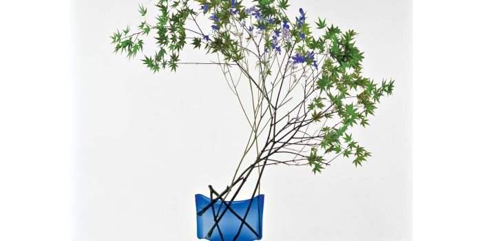 Ikebana avec Carole (initiées et débutantes)