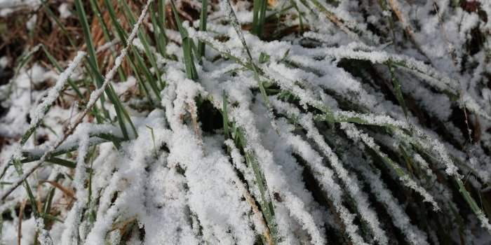 Sorties photo : Un lieu 4 saisons - Rothäuserbachtal l'hiver