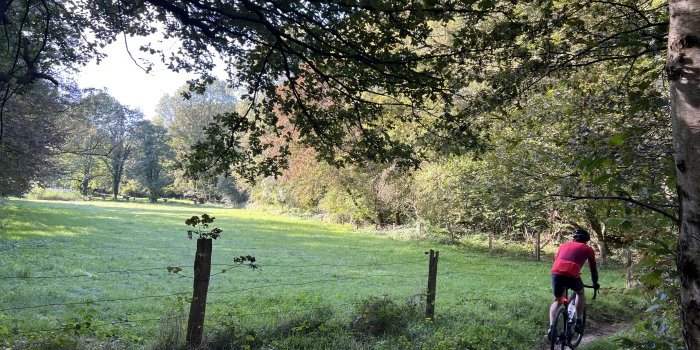 Sortie vélo : Tour de Ratingen par les forêts